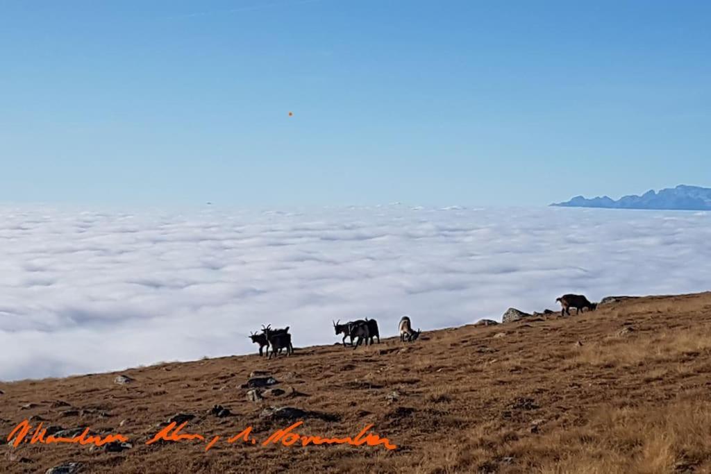 Dolomiten View - South Tyrol Villandro Dış mekan fotoğraf